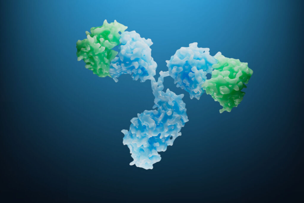 Custom Monoclonal Antibody Development Service