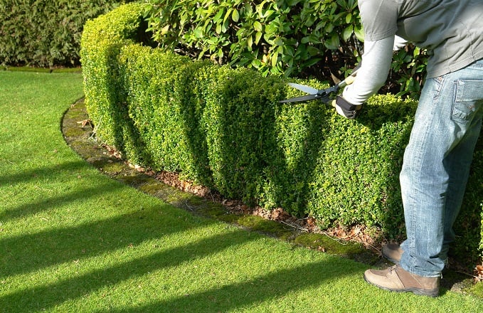 Landscaper In Newtown